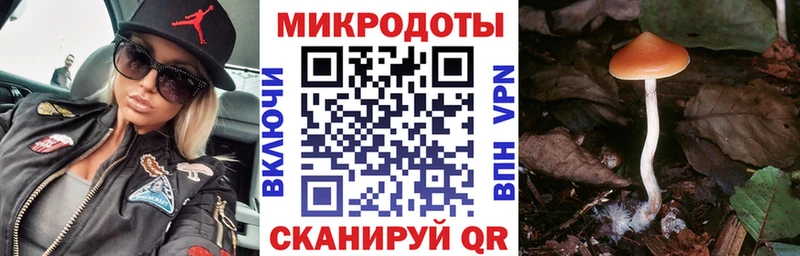 Псилоцибиновые грибы прущие грибы  OMG маркетплейс  Озёрск 