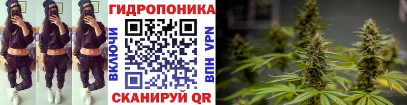 Бошки Шишки SATIVA & INDICA Озёрск